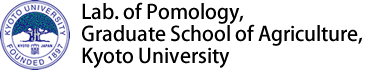 Lab. of Pomology, Graduate School of Agriculture, Kyoto University 