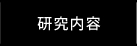 研究内容