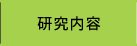 研究内容