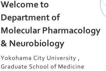 Welcome to Department of Molecular Pharmacology & Neurobiology